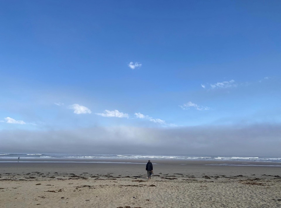 A lone figure walking on a wide empty beach toward a bank of fog meeting the sea.