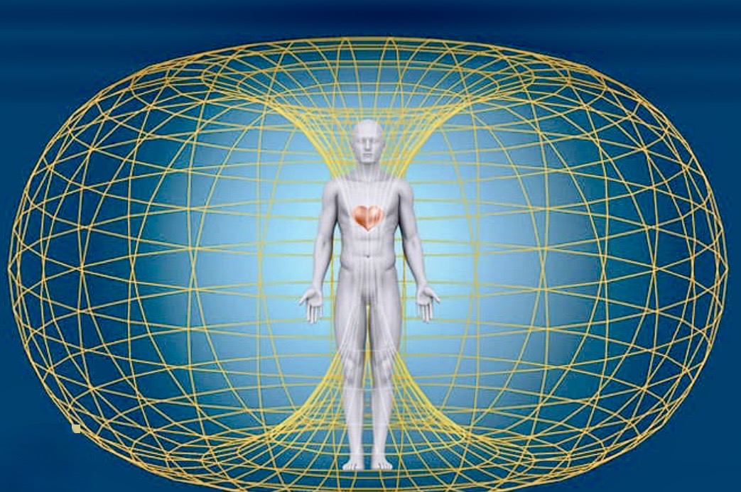 Diagram of a human figure standing inside a toroidal field radiating from the heart.